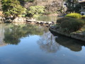 Water Feature: 5