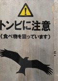 Beware of Kites