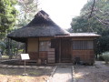 Hut of Spring Grasses