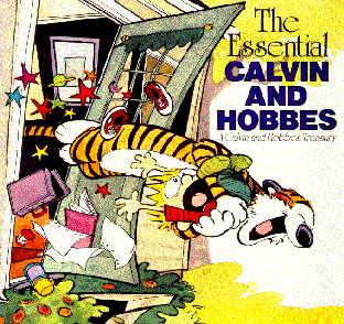 Calvin and Hobbes